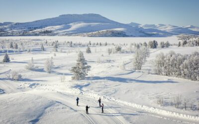 Der skisporene viser vei gjennom vinterlandskapet i Innlandet