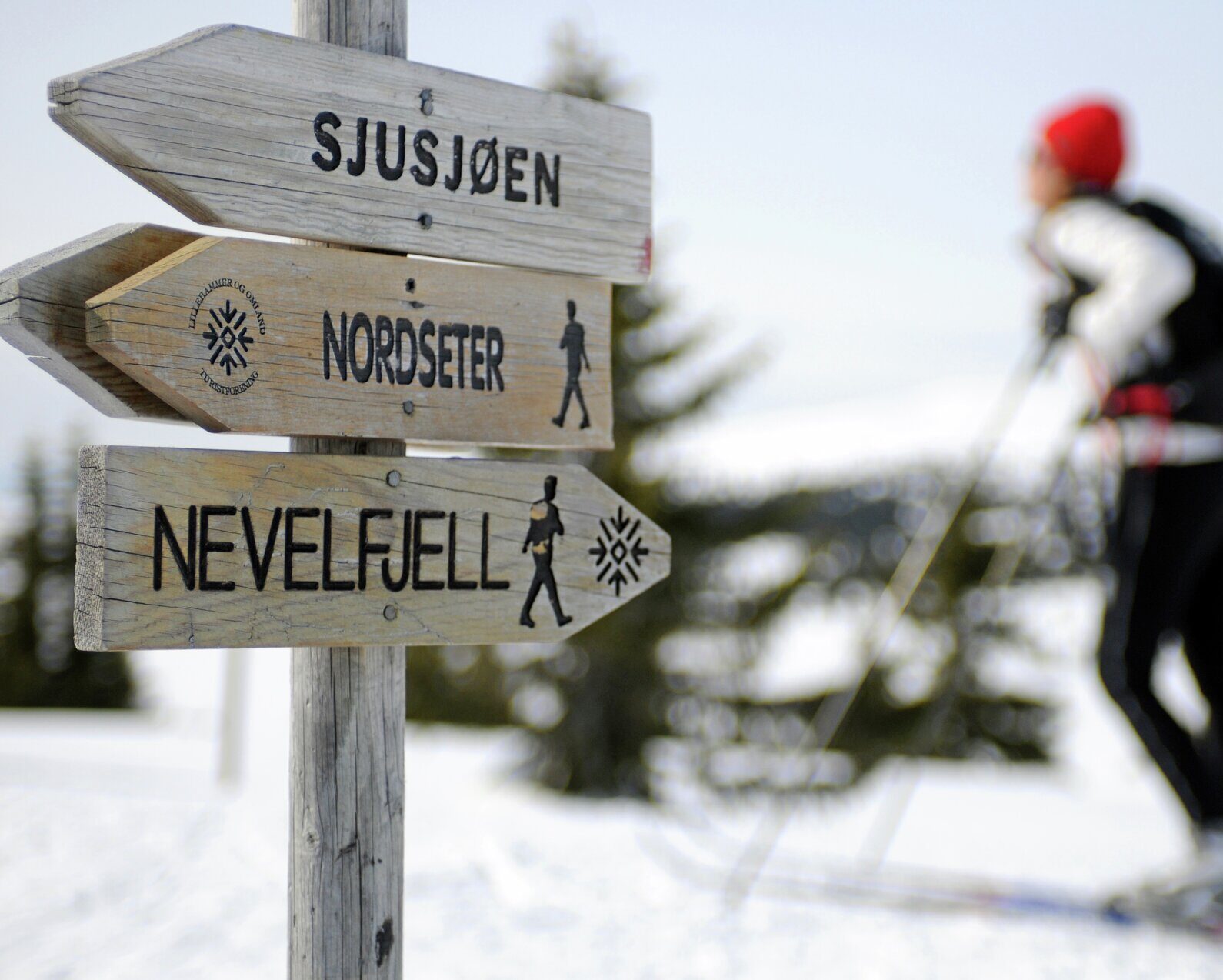 Langrennstur i fjellet ovenfor Lillehammer Foto: Esben Haakenstad