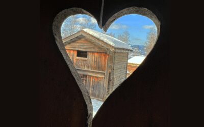 Culture during Winter